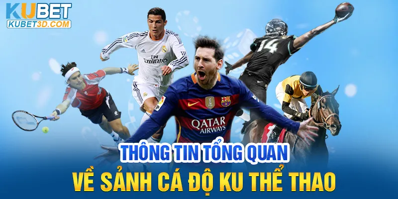 Thông tin tổng quan về sảnh cá độ Ku thể thao